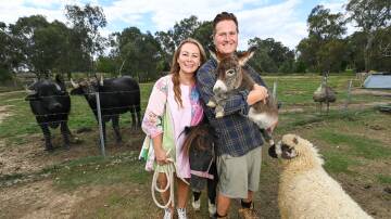 Thurgoona's Rachel and Brent Alexander of Razoo Animal Sanctuary have big plans for the property, which houses goats, sheep, chickens and more. Picture by Mark Jesser. 
