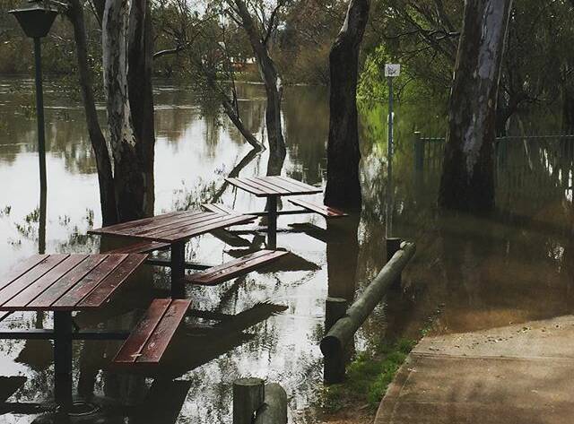 PHOTO OF THE DAY: @clarissacarol77 "Picnic anyone? #albury #murrayriverfloods #floodwaters #norielpark #murrayriver"