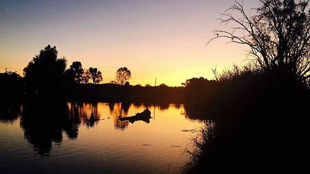 PHOTO OF THE DAY: @iracunda.hodophile "What a beautiful sunset ! #iracundahodophile #albury #nsw #park #peace #love #happy"