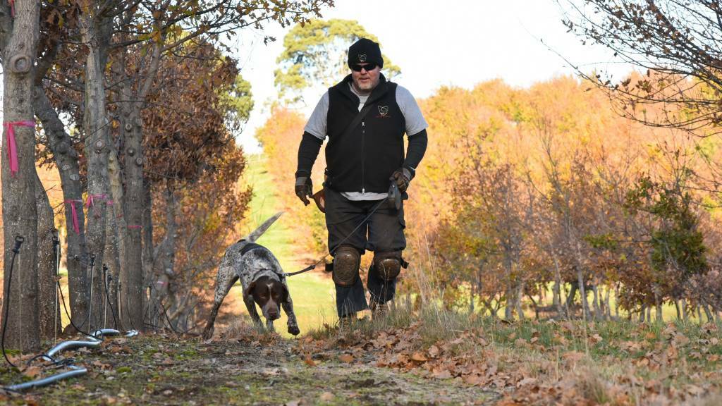 Handler Jay Cottrell, with truffle dog Murph.