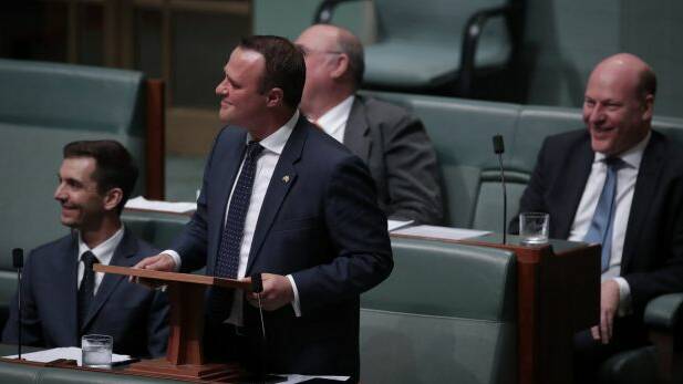Liberal MP Tim Wilson proposes to his partner Ryan Bolger during debate on the marriage bill on Monday. Photo: Alex Ellinghausen