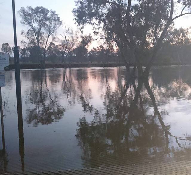 PIC OF THE DAY: @eamon.bray.official: The river has flooded! #picoftheday #eamonbrayphotography #albury #river #murray #murrayriver #flood #tree #bank (via Instagram)