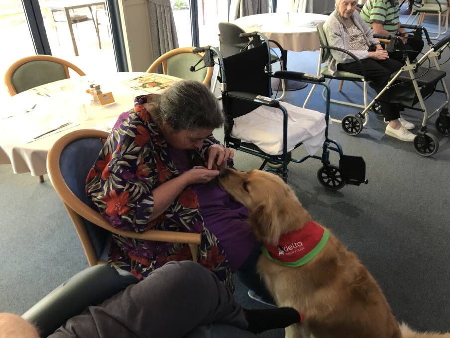 PET THERAPY: Colleen Owens, 54, is one of the many Mercy Place Albury residents to have found joy in Pringles’ weekly visits to the home.