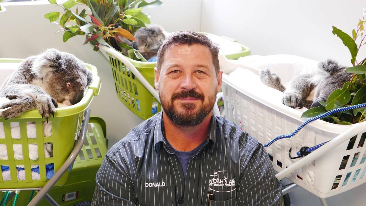 PATRON SAINT: Veterinarian Donald Hudson has the highest level of respect among members of the Hunter Koala Preservation Society. Picture: Supplied