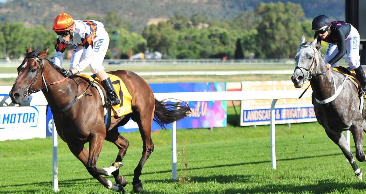 WELL DESERVED: Vinnie Vega crosses the line to take out the $20,000 Wagga Scamper (1000m) at Murrumbidgee Turf Club on Tuesday. Picture: Kieren L Tilly