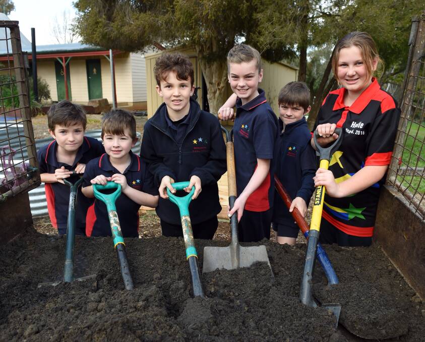 DIGGING IN: Barnawartha Primary School pupils Ed Danckert, 9, Ty Klippel, 8, William Pitts, 9, Lily Beattie, 12, Wil Beattie, 10, and Hollie Noble-Wise, 11, prepare the new vegie garden on Tuesday. Pictures: MARK JESSER