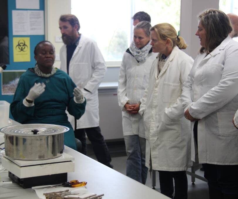 TEAM APPROACH: Alpine Valley Community Leadership Program participants review phylloxera research with Dr Catherine Clarke on a field trip to Rutherglen.
