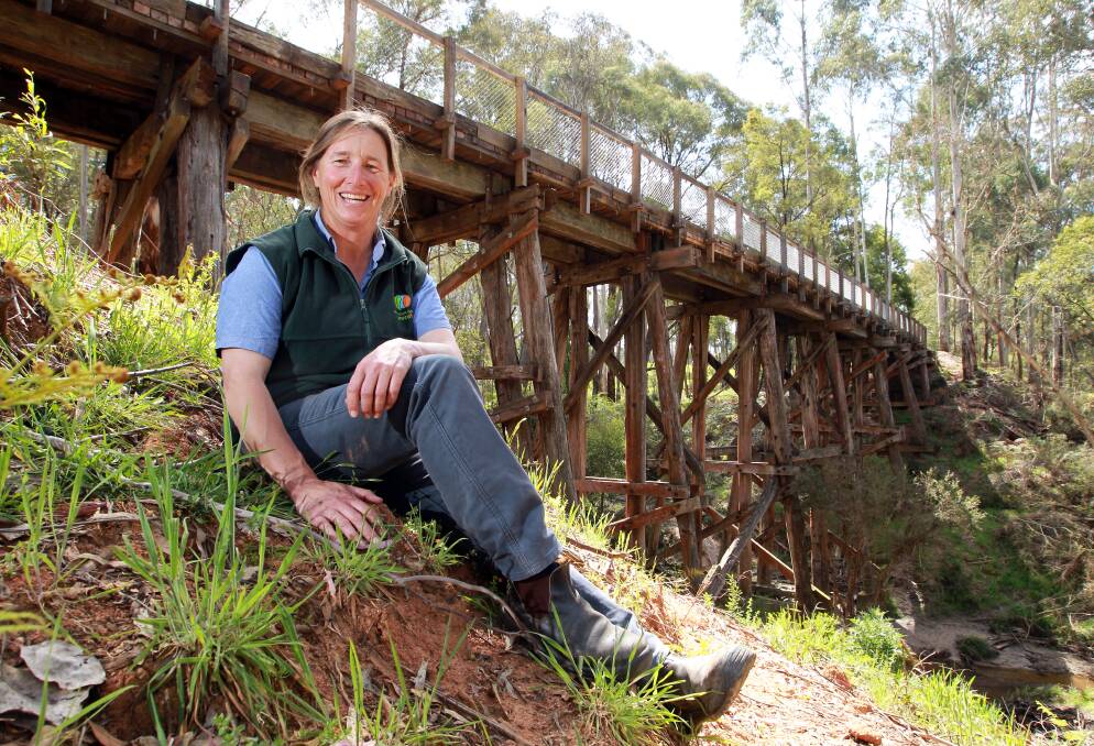 TOP SPOT: Parklands Albury Wodonga community ranger Ant Packer says the rail trail around Shelley Forest Camp at Koetong offers stunning scenery. 