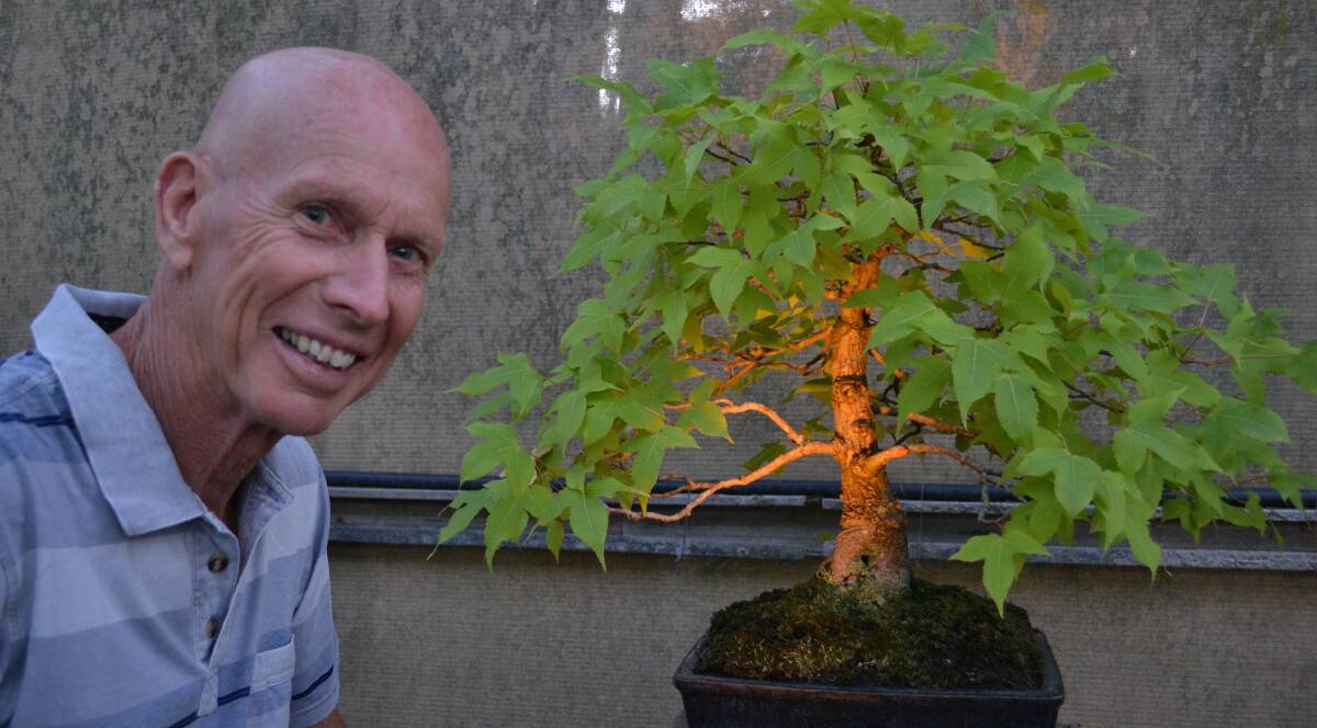TREE CHANGE: John van Lint will create a twilight bonsai display at his Lavington home on Friday. About 80 people attended the fundraiser last year. Picture: JODIE BRUTON