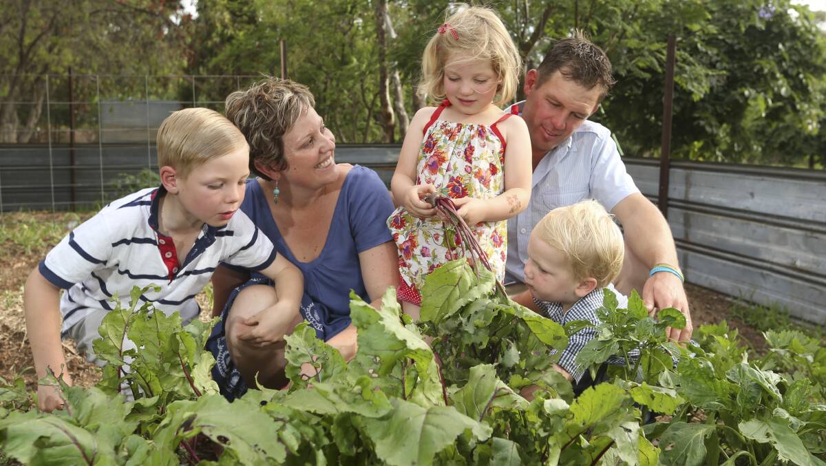 THE GOOD LIFE: Kinta and Rick Gitsham tend to their seasonal vegetable garden on their Gerogery property with children Archie, 7, Josie, 5, and George, 2, pitching in to help. Picture: ELENOR TEDENBORG