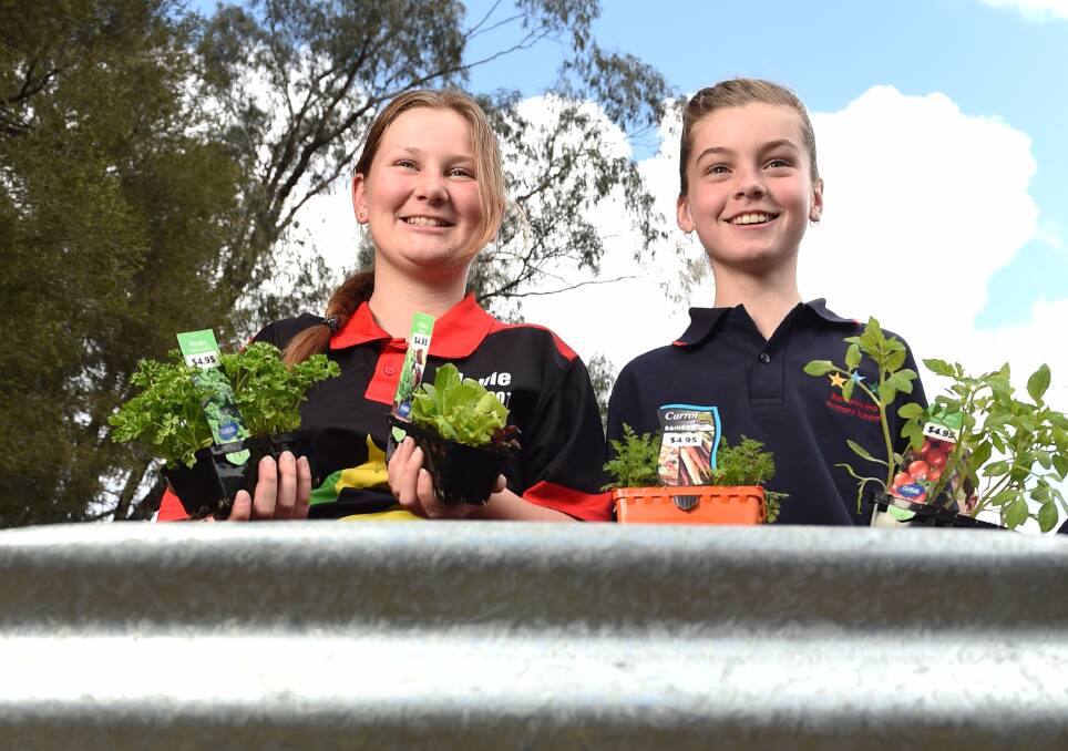 FRESH APPROACH: Barnawartha Primary School pupils Hollie Noble-Wise and Lily Beattie select plants to put in the new vegie garden donated by FoodShare.