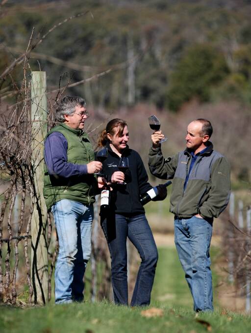 VINE TIME: Micheal Freudenstein, Jo Marsh and Michael Dalbosco ahead of the North East Victorian Wine Challenge, now in its fifth year, in September.