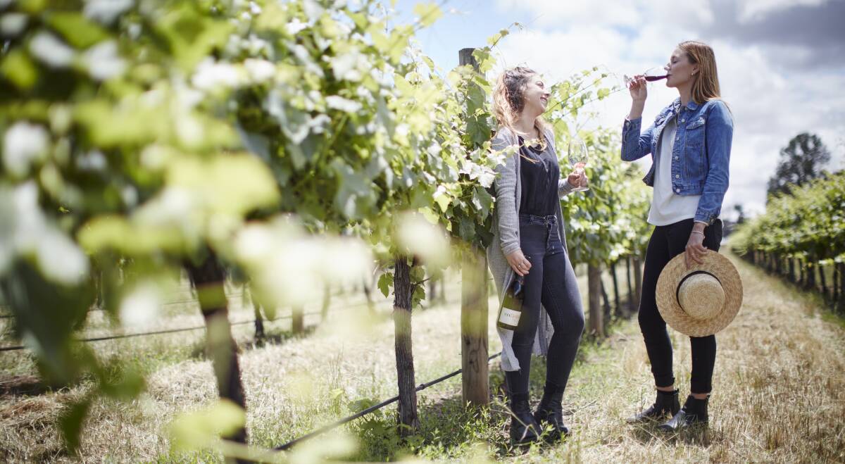 VINE TIME: Tastes of Rutherglen offers masterclasses, special events, food and wine matches, music and children’s activities on March 11 and 12. 