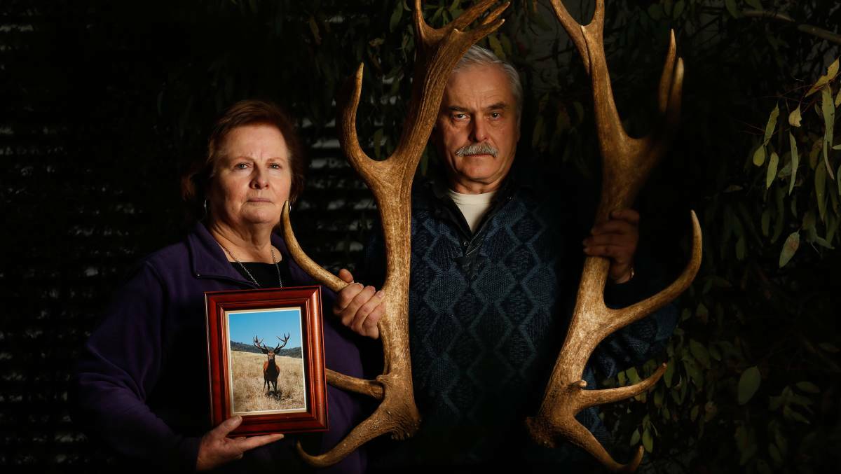 HORROR FIND: Manfred and Narelle Wagner have been left devastated after their pet deer Karl was beheaded, likely for his antlers. Picture: MARK JESSER