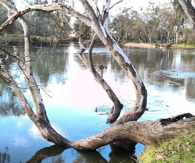 Check out this idyllic scene of the Murray as taken by @misskerryanne on Instagram. Lovely shot!