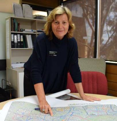 Getting aboard: Wodonga Council chief executive Patience Harrington says she will be pushing for improvements to the North East railway line.