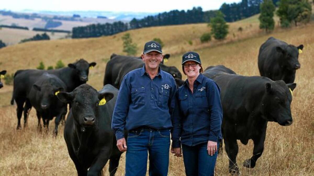 Merlewood Angus principals Daniel and Anne Marie Barrow will host visitors to their property as part of Beef Week on Sunday, February 4 for a pre-sale preview.
