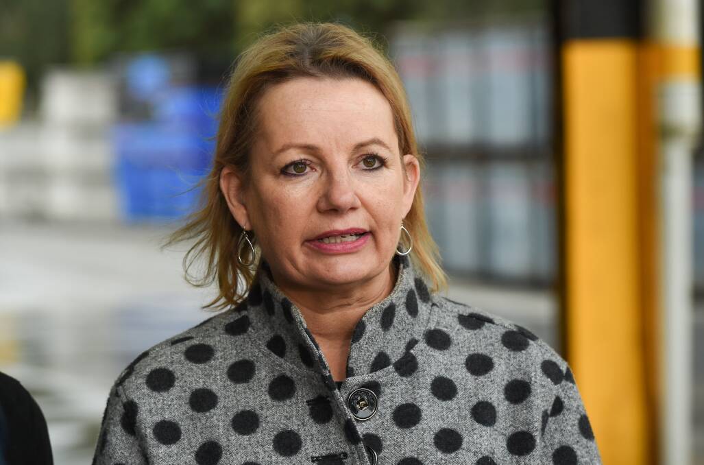 Farrer MP Sussan Ley