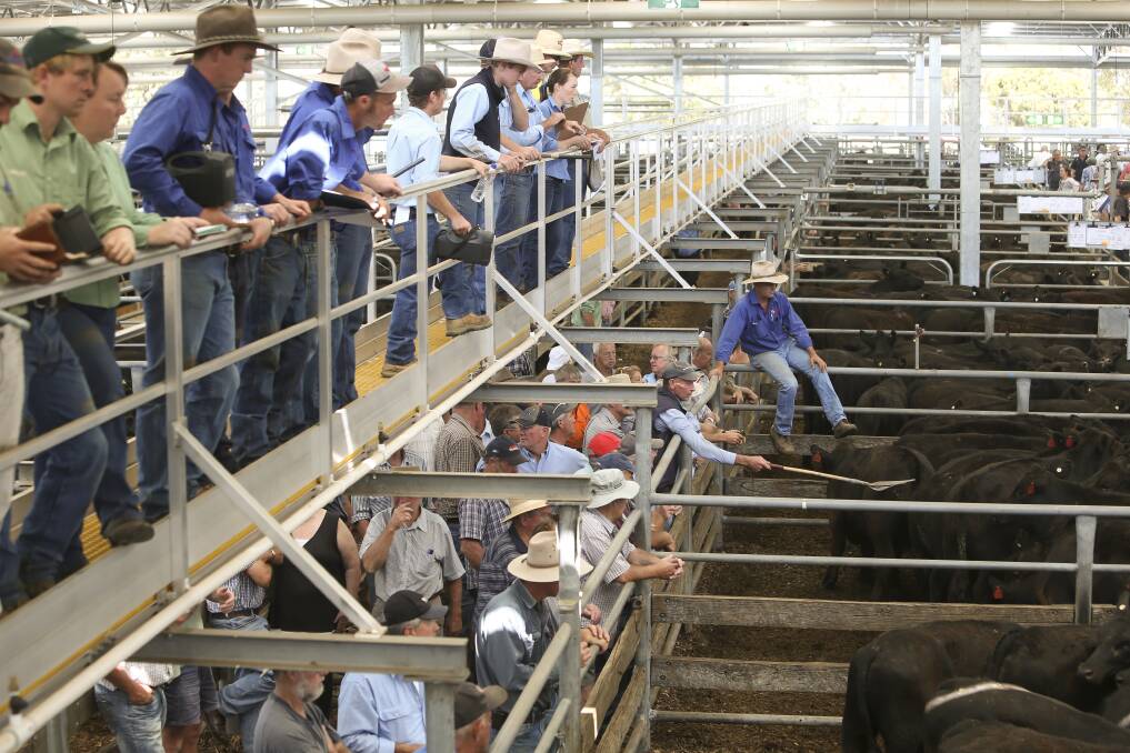 FUTURE UNDER DISCUSSION: Producers and agents want a say in the future of the Wangaratta Saleyards, now the proposed co-operative is off the table.