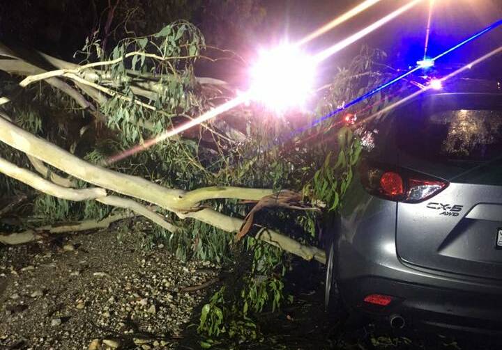 LUCKY ESCAPE: The car vs tree crash at Staghorn Flat overnight. Picture: SES