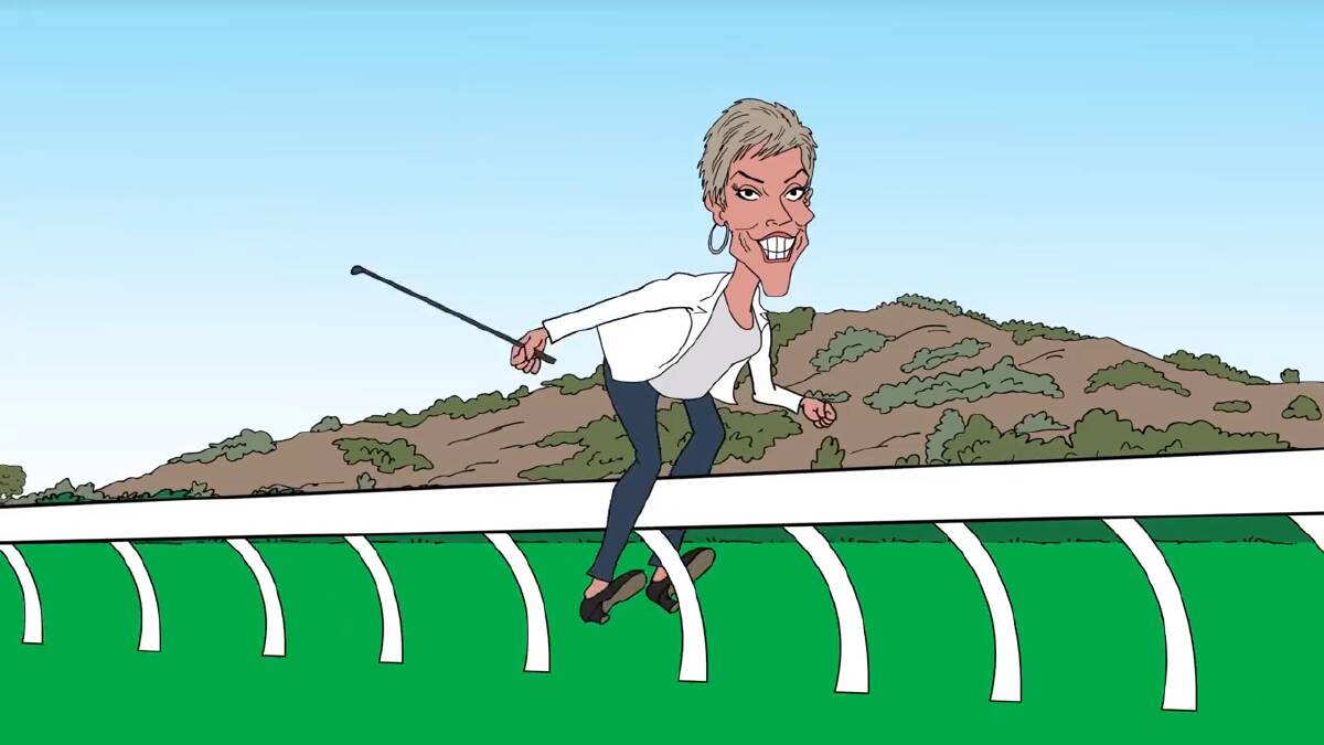 'ON THE FENCE': Wodonga incumbent mayor Anna Speedie in the video created by Dutch Media.