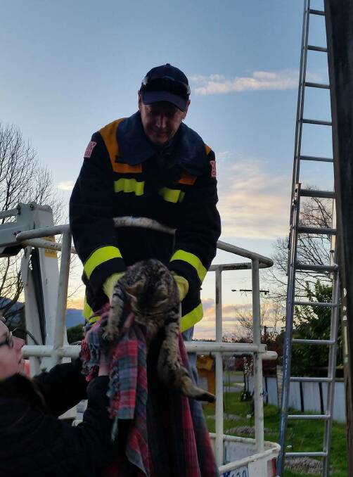 SAVIOUR: CFA volunteer and friend Jon Sanderson said he was in the "right place at the right time" to retrieve Nala the cat in a cherry picker hand her back to Leah Stricek. Pictures: BECKIE WINFIELD