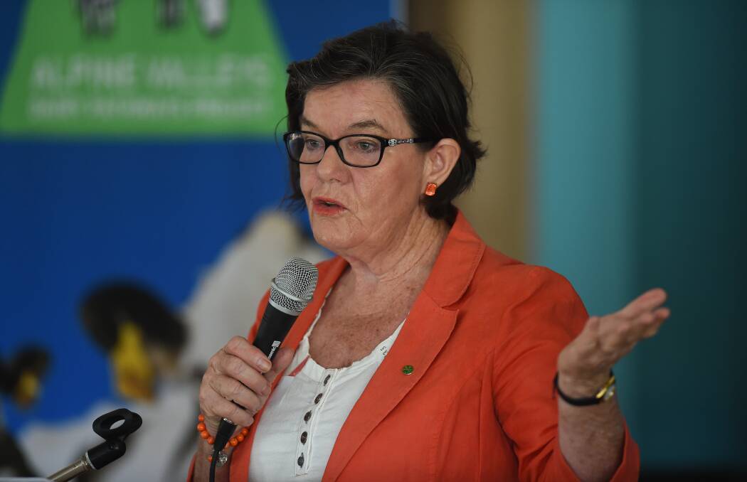 IMPORTANT VOTE: Indi MP Cathy McGowan said she has been advised a High Court challenge to the postal plebiscite may still stop the vote before it can occur.