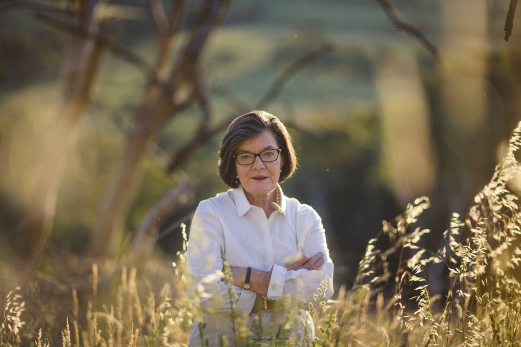 WE NEED MORE: Indi MP Cathy McGowan is calling for a stronger focus on rural and regional Australia. Picture: MEREDITH O'SHEA