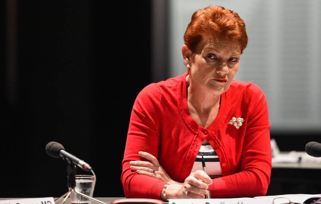 CONTROVERSIAL CHARACTER: Pauline Hanson visited Wodonga on Thursday for a hearing of the parliamentary inquiry into the rollout of the NBN. Picture: MARK JESSER