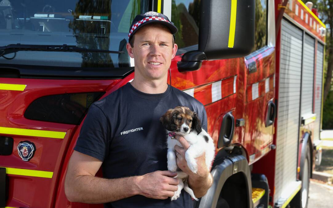 LOOKING TO NEW FUTURE: Wangaratta firefighter Michael Cornish, pictured after rescuing a puppy in the past, is confident the Parliamentary inquiry will support reform of the fire service.