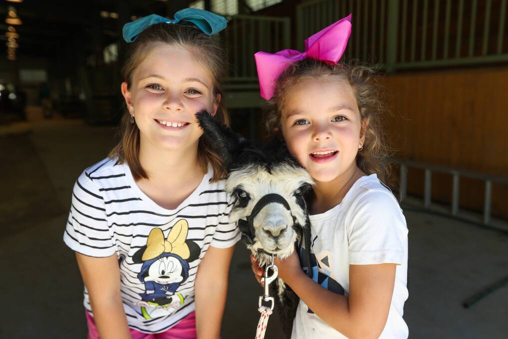 FUN TIMES: Young and old enjoyed Saturday's Wodonga Show. Pictures: MARK JESSER