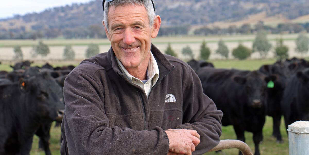 BACK TO THE FUTURE: David Shuter implemented cell grazing and a pasture program since the 2009 fire on his property and is now experiencing a dramatic lift in production. Picture: KIM WOODS
