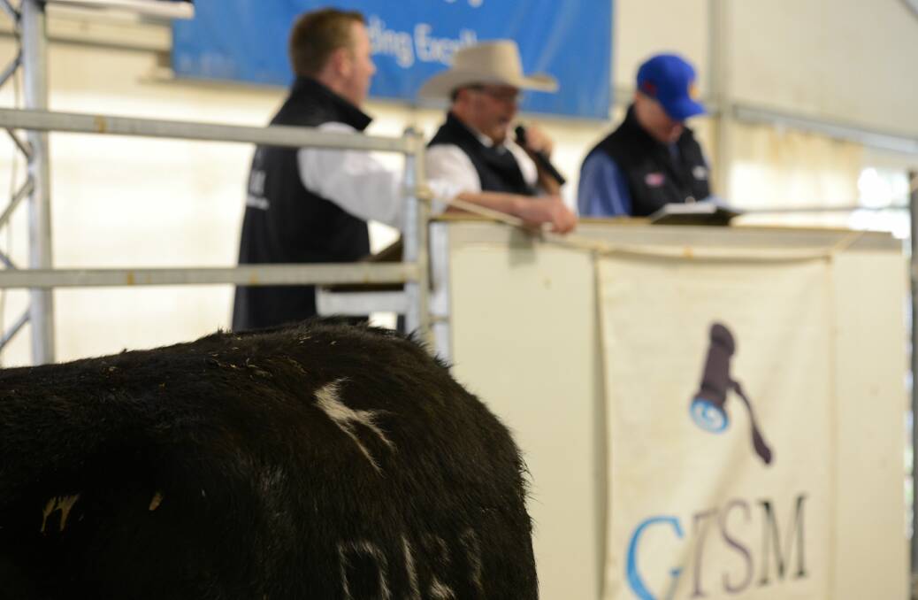 UNDER THE HAMMER: Action in the ring at Welcome Swallow Complete Dispersal sale on July 17. Pictures: SUPPLIED
