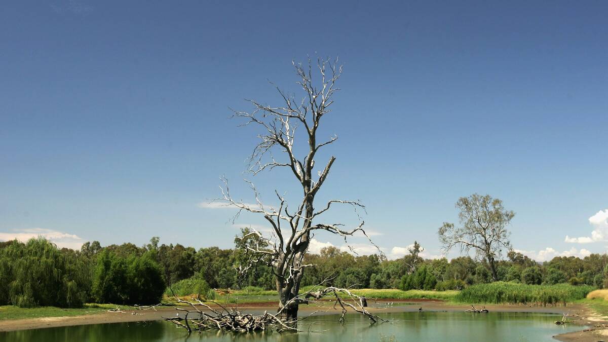 Faith in Murray Darling Basin Plan is drying up