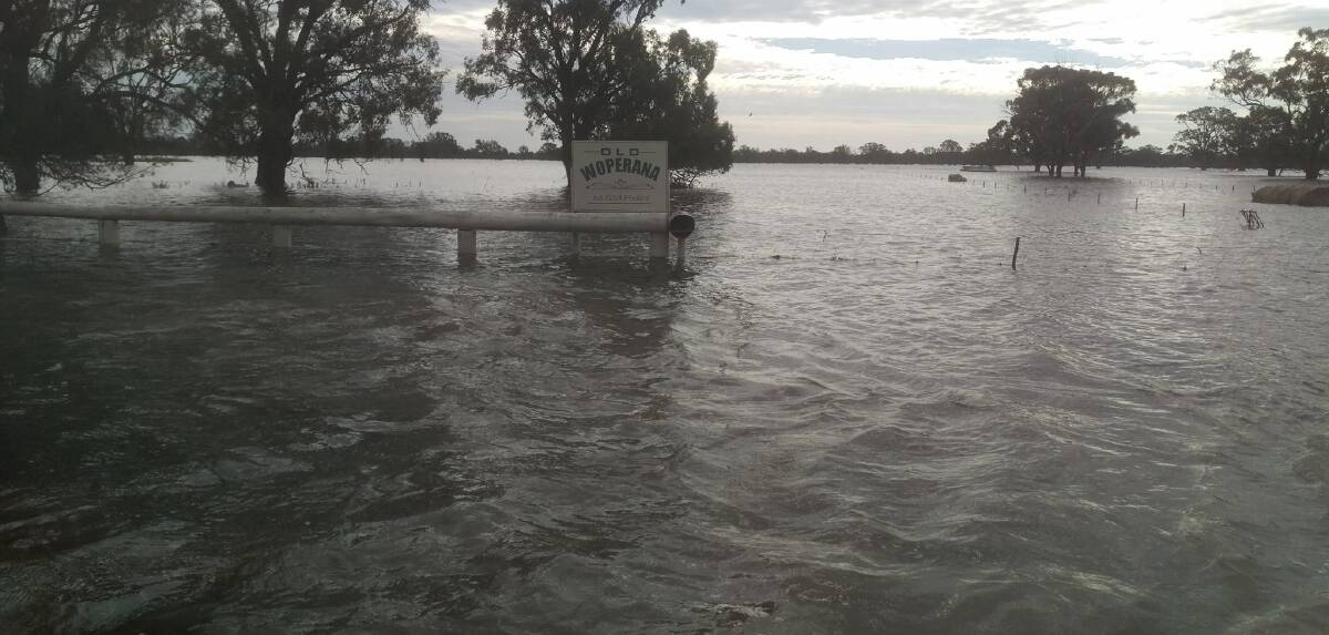 UNDER WATER: This picture from Old Woperana's Facebook page shows the extend of flooding to the west of Tocumwal. Old Woperana runs an educational program and animal nursey as part of its regular mixed farm operation.
