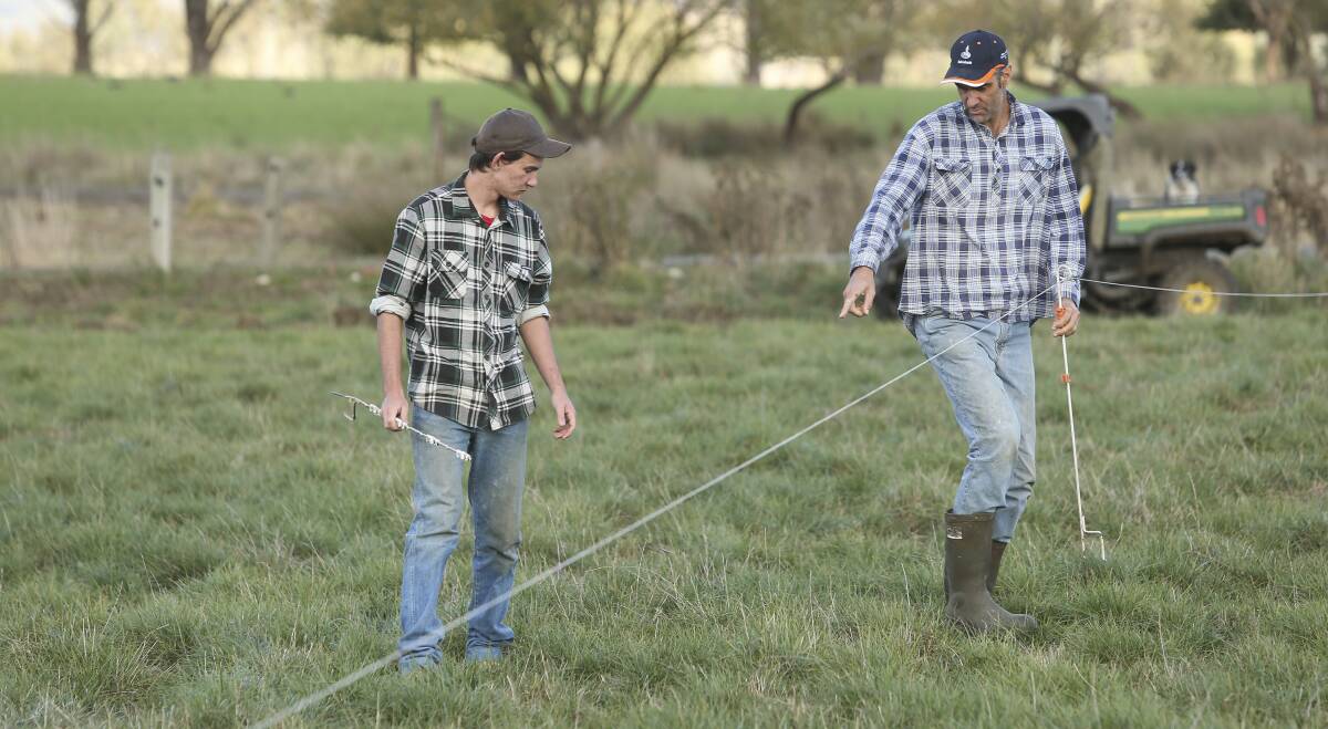 BREAKING GROUND: Laeydn Welsh-Hore helps Scott McKillop erect an electric fence so cattle can strip graze a paddock. Picture: ELENOR TEDENBORG