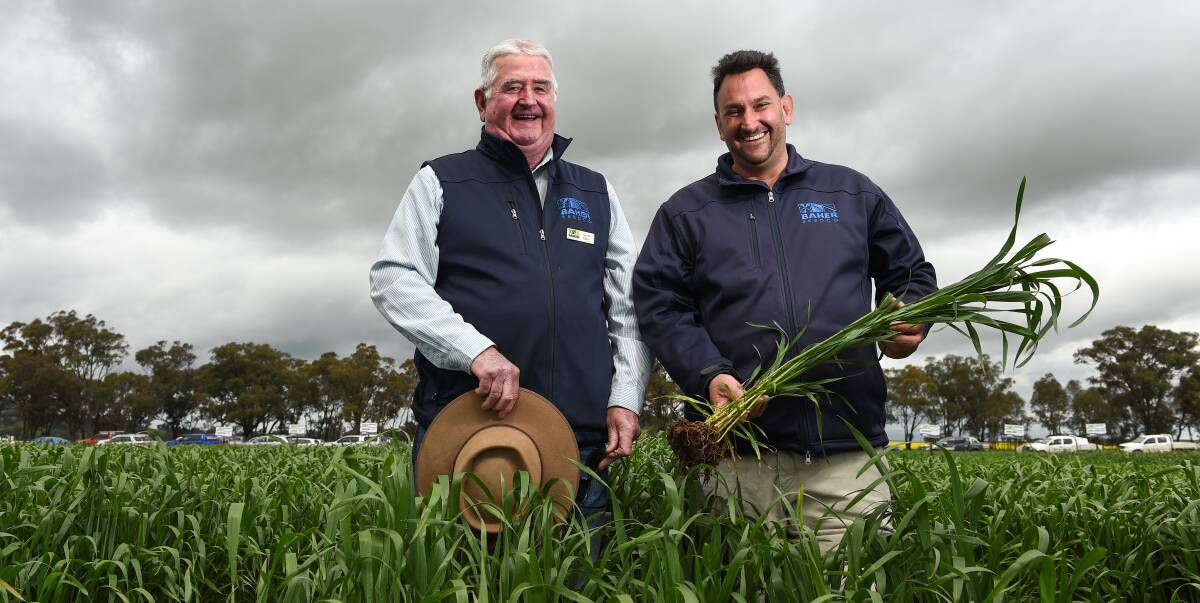 OUT STANDING: Geoff Baker and Aaron Giason from Baker Seed Co, Rutherglen, in their wheat trial plots, which proved popular at the Henty Machinery Field Days. Picture: MARK JESSER