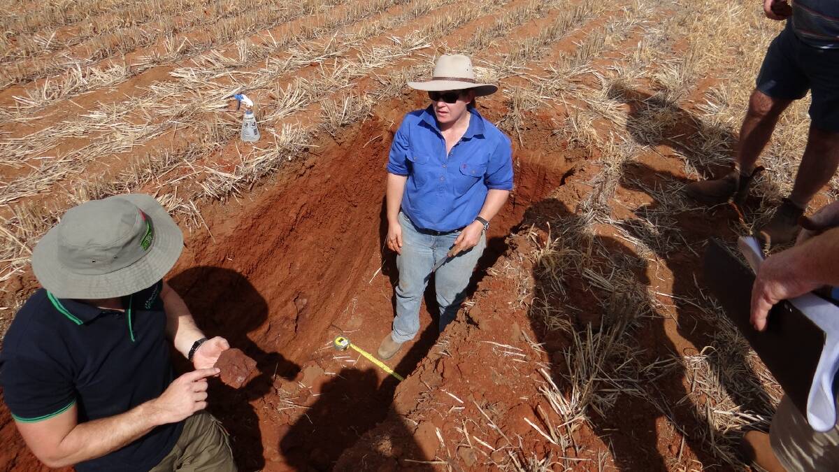 Dr Cassandra Schefe, Riverine Plains Inc Extension Officer (pictured), will speak at the upcoming Boorhaman Soil Pit and Nitrogen Day.