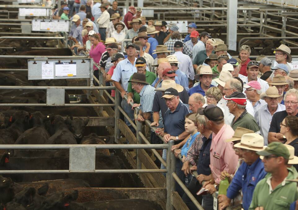 ON A WINNER: Wangaratta's redeveloped Livestock Exchange got the tick of approval from buyers and sellers at Friday's record weaner sale.