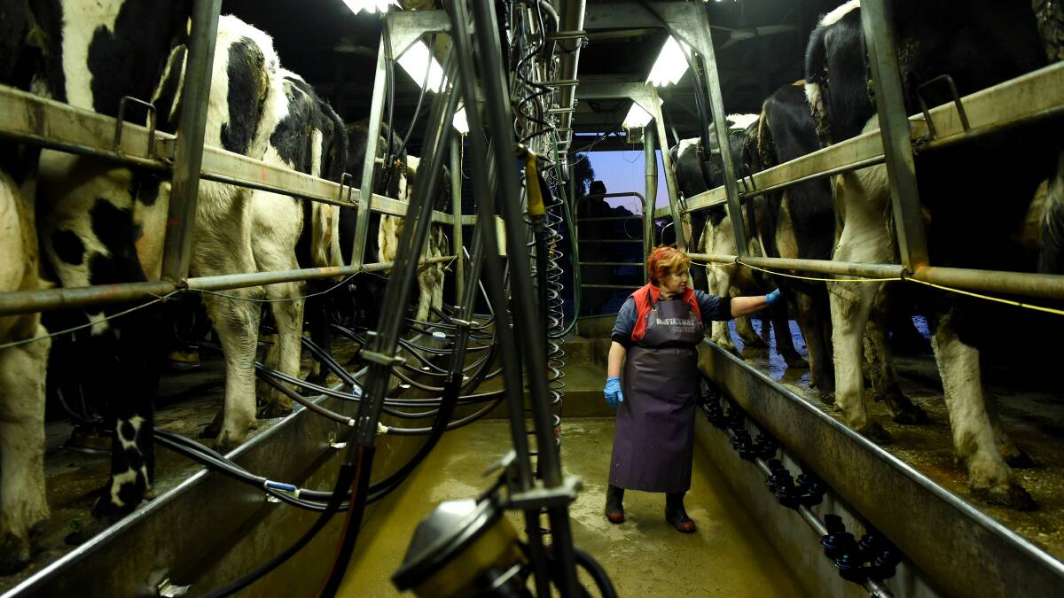 Support grows for dairy farmers