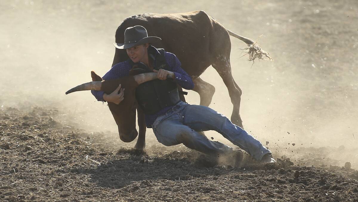 BULL DUST: German student, and former backpacker, Eileen Ostwald competes in the steer wrestle event at Beechworth Rodeo on Saturday, January 10. Picture: ELENOR TEDENBORG
