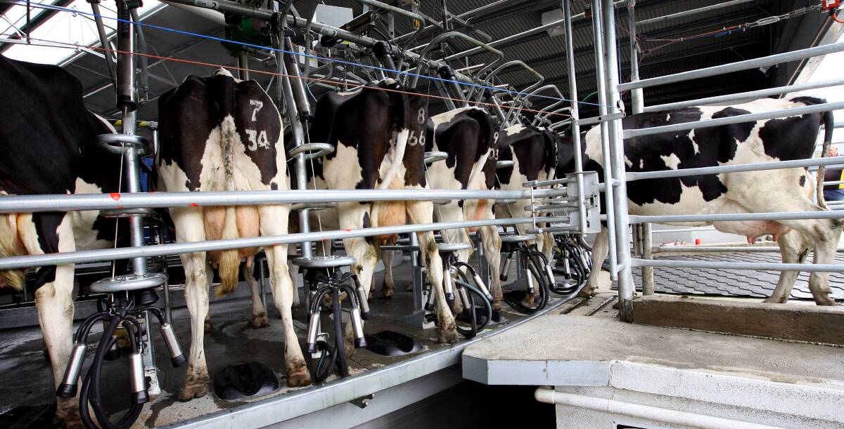 Alpine Valleys dairy farmers are bucking industry trend