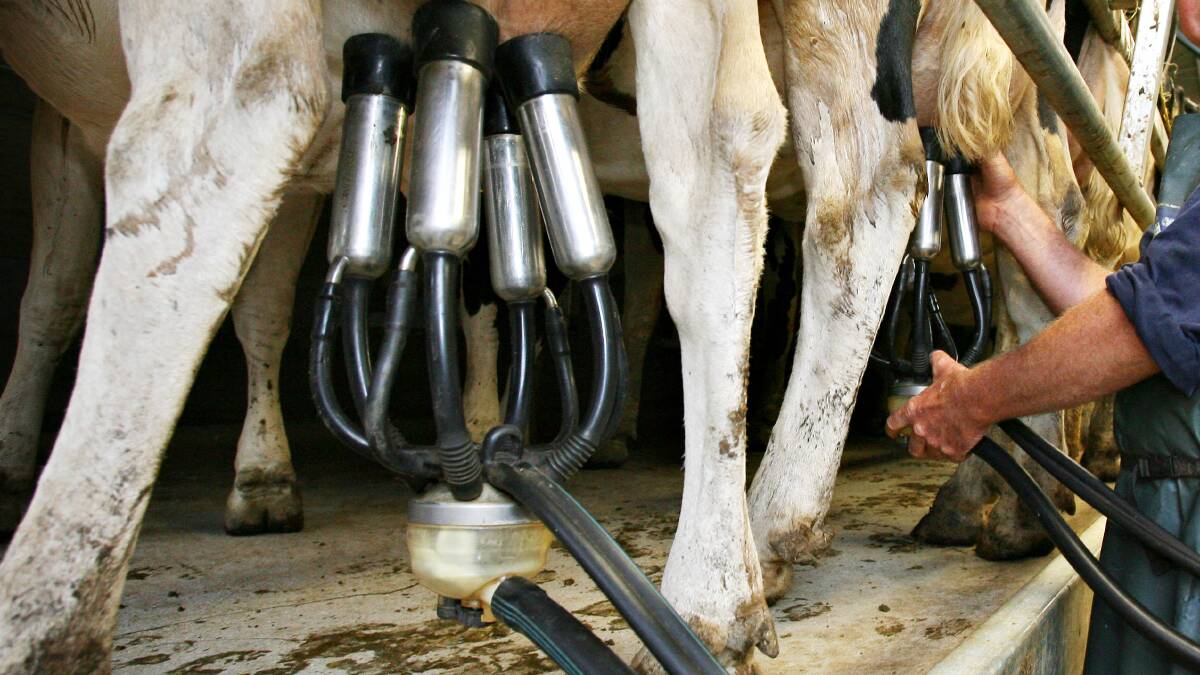 ACCC delays final report into dairy industry until April 30