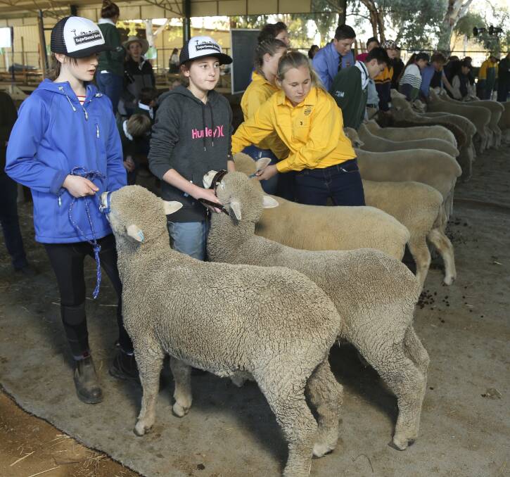 HANDLE WITH CARE: Helena Broders, 13, Nikyah Baker, 12, and Teagan Fuller, 14, are put through their paces at Holbrook. Picture: ELENOR TEDENBORG