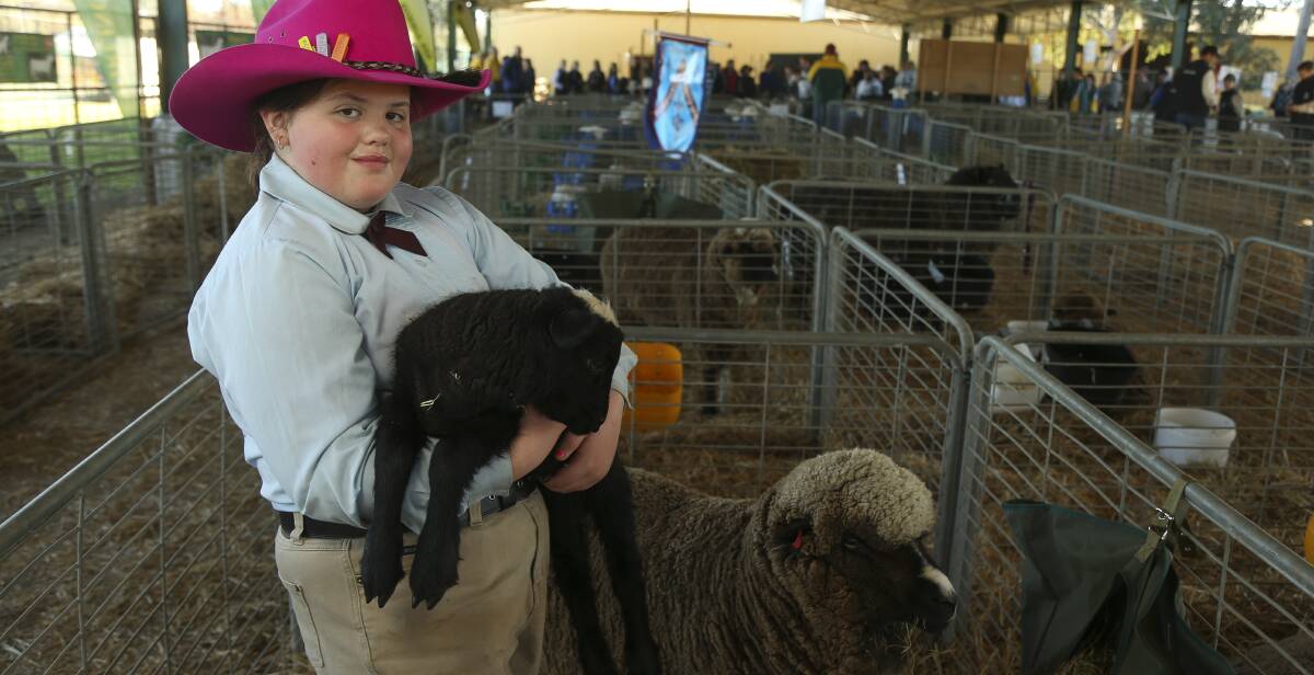 NOT SHEEPISH: Piper Williams ,10, from St Peter and Paul's School in Goulburn found a cuddly friend during the Holbrook Sheep and Wool Fair.