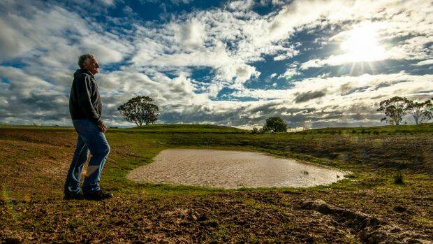 DRY WINTER: Farmers are looking for more winter rain. PICTURE: Justin McManus

