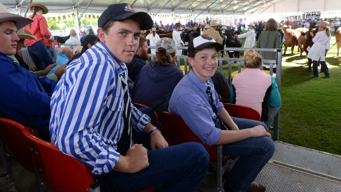 St Stanislaus College, Bathurst, students Hamish Scott, Year 11 and Angus Cooke, Year 9 watching the steer judging. To see more photos, hit the image