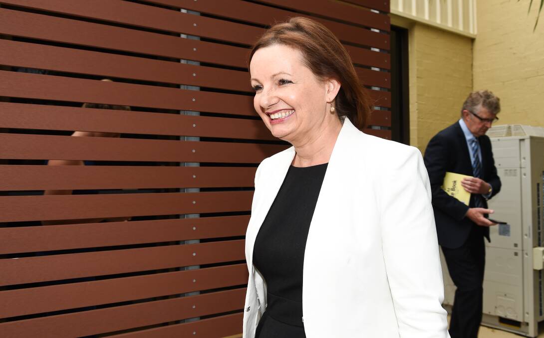 STEADFAST: Sussan Ley emerges from her office to front the media for the first time about her controversial travel claims. Picture: MARK JESSER 