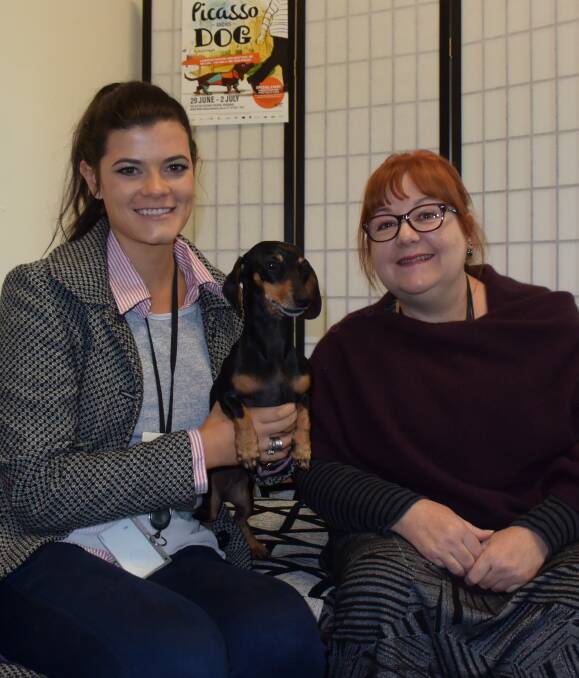 BOND: Gateway Health's Kat Bennett with her miniature daschund, Pappi, and HotHouse Theatre artistic director Lyn Wallis. Kat reguarly brings Pappi into her office to help her work productively. Picture: DERRICK KRUSCHE