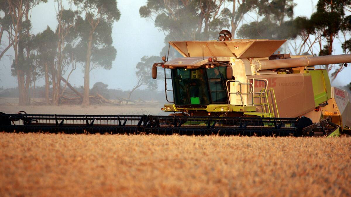 Grain prices at historic low
